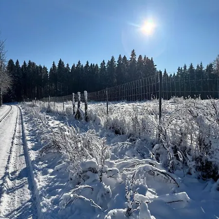 Haus Aktiv Top2 Lejlighed