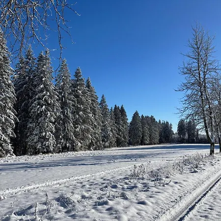 Haus Aktiv Top2 * Винтерберг