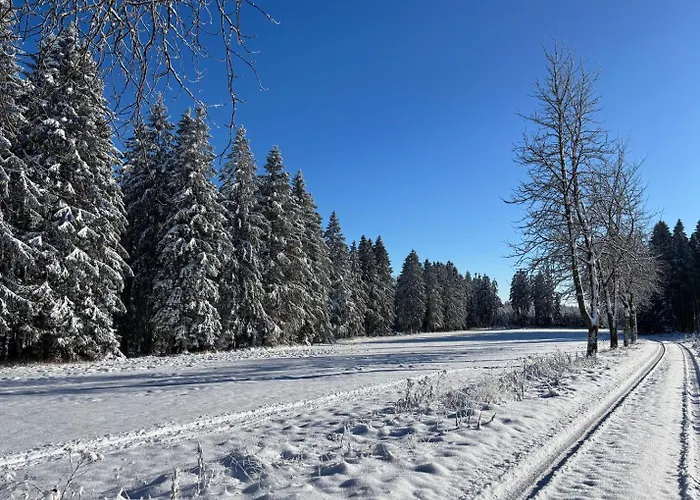 Haus Aktiv Top2 * Winterberg
