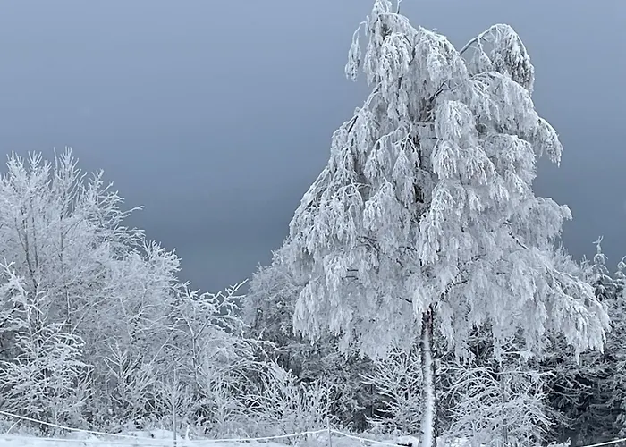 Haus Aktiv Top2 Apartman Winterberg