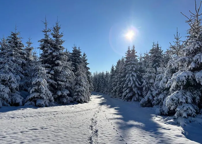 Apartman Haus Aktiv Top2