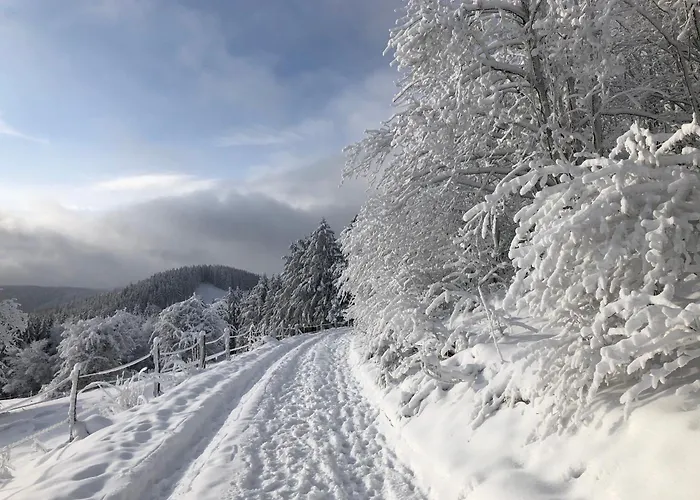 Lejlighed Haus Aktiv Top2