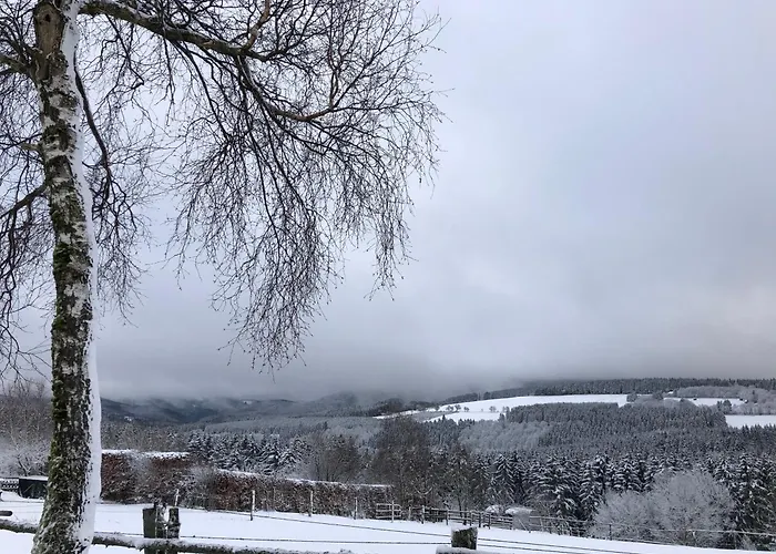 Haus Aktiv Top2 * Winterberg